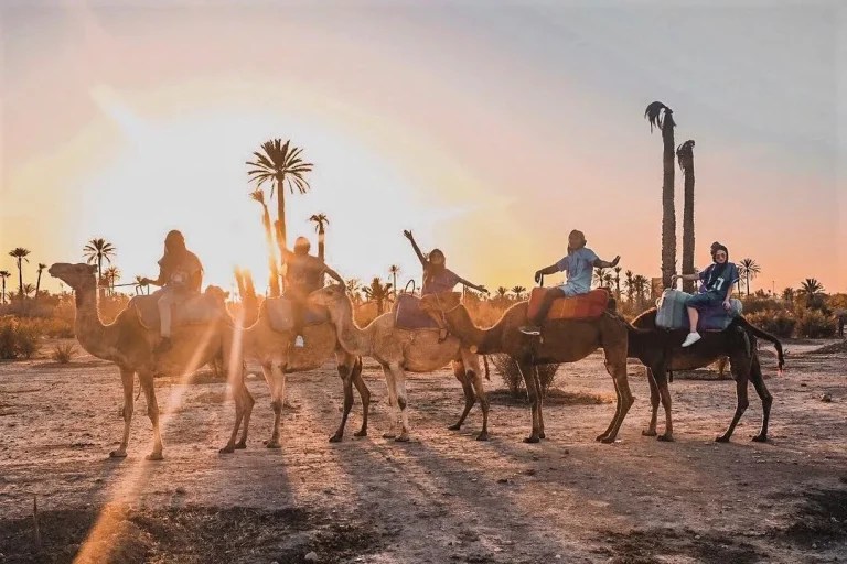 Camel riding in Marrakech at sunset with palm trees in the background.
