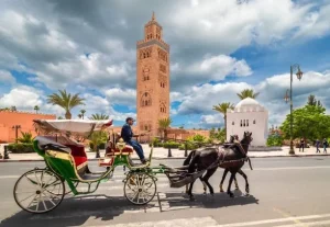 Horse-drawn carriages near the Koutoubia Minaret in Marrakech, surrounded by palm trees and vibrant greenery under a clear blue sky.