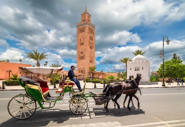 Horse-drawn carriages near the Koutoubia Minaret in Marrakech, surrounded by palm trees and vibrant greenery under a clear blue sky.