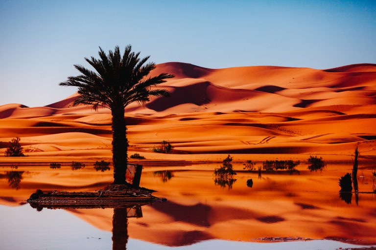 Vast Moroccan desert landscape with rolling sand dunes under a clear blue sky.